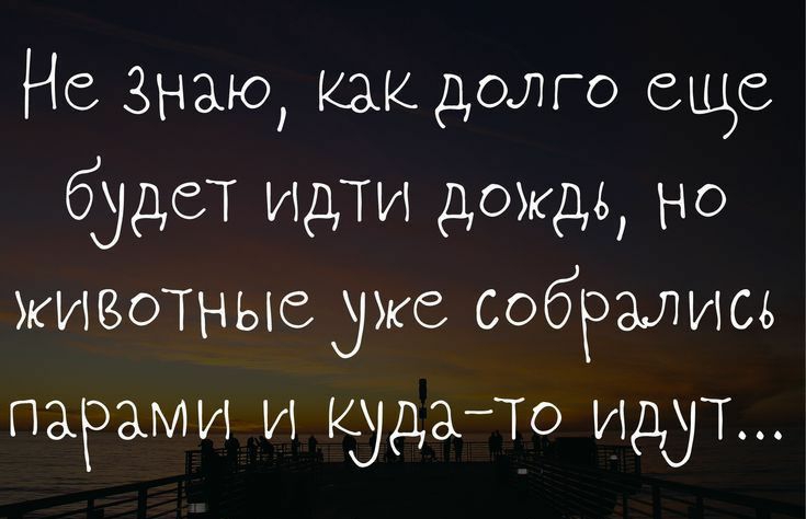 Не Знаю как долго еще будет идти дождь но животные уже собрались парами и кудато идут Ытрзошрабо1і