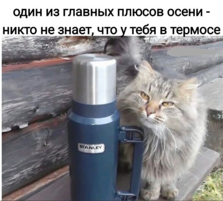 ОДИН ИЗ ГЛЭВНЫХ ПЛЮСОВ осени _ НИК_ТО не знает ЧТО тебя В ТЕРМОСЕ