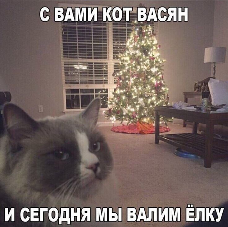 с вКопвАсян И СЕГОДНЯ МЫ ВАЛИМ ЁПКУ