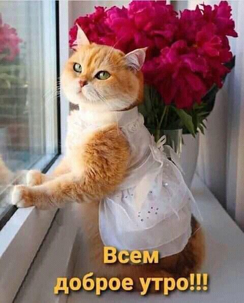 иі