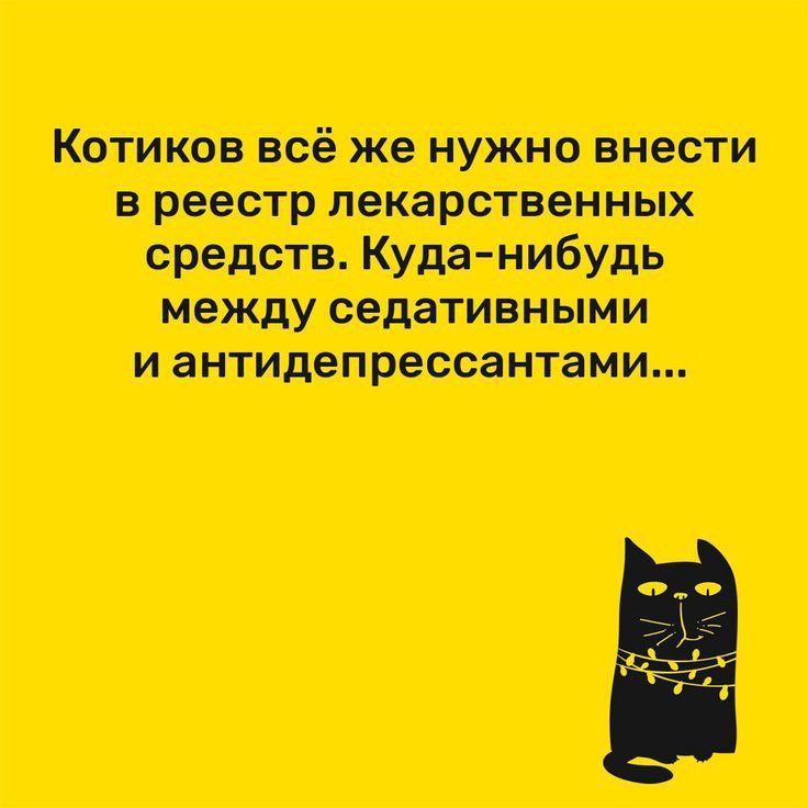 МЩ носившая ош имт