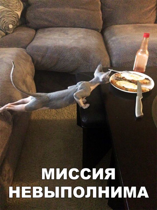 МИССИЯ НЕВЫПОЛНИМА