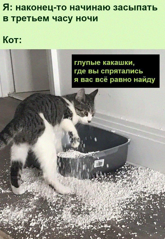 Я наконец то начинаю ЗЗСЬПЭТЬ В третьем часу НОЧИ Кот ГПУПЬЕ какашки ГДЕ вы спрятались я вас все равно найду