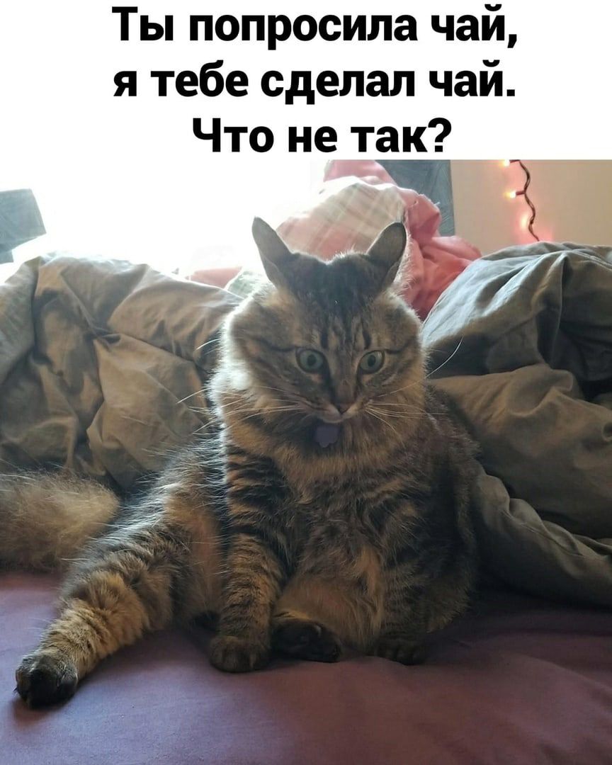 Ты попросила чай я тебе сделал чай Что не так