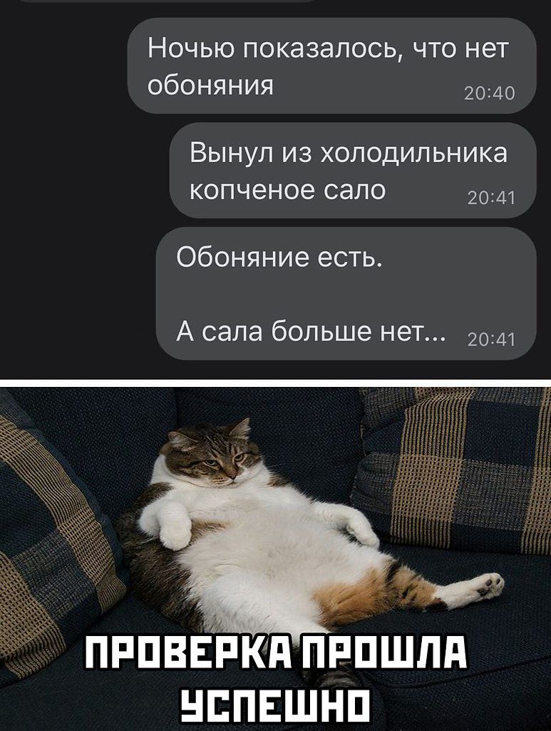 Ночью показалось что нет обоняния ВЫНУП из холодильника копченое сало 2041 Обоняние есть А сапа больше нет 20 ПРПВЕРКП ПРПШПП ШПЕШНП