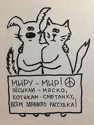 миру _ мир ПЕСЦКАИ МЯСКО кот иКАм СМЕТАН ку ВСЕМ БАРМБОГО РАССУАКА