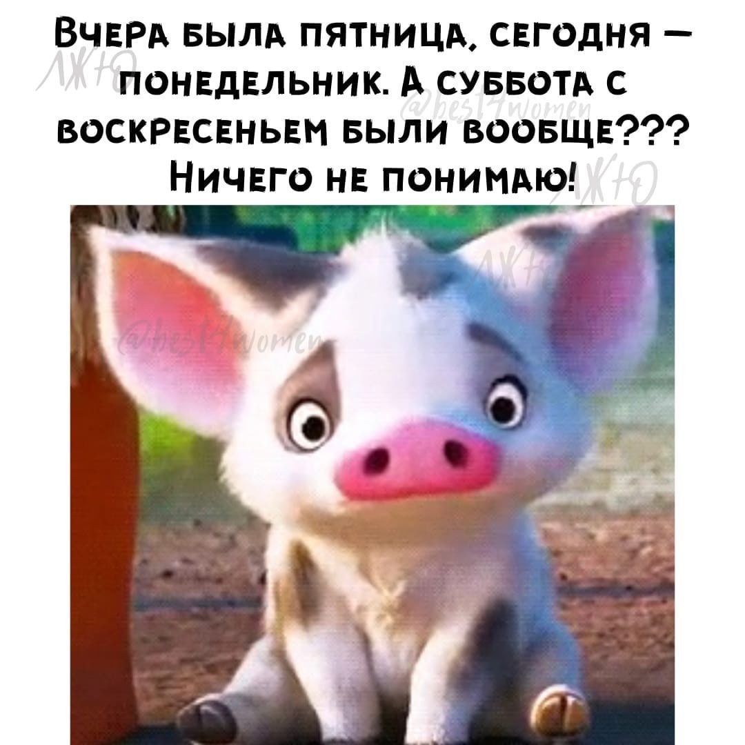 ВЧЕРА вылд пятницд свгодня ПОНЕДЕЛЬНИК А суввоть с воскркгньвм Были воовщв Ничвго нв понимвю