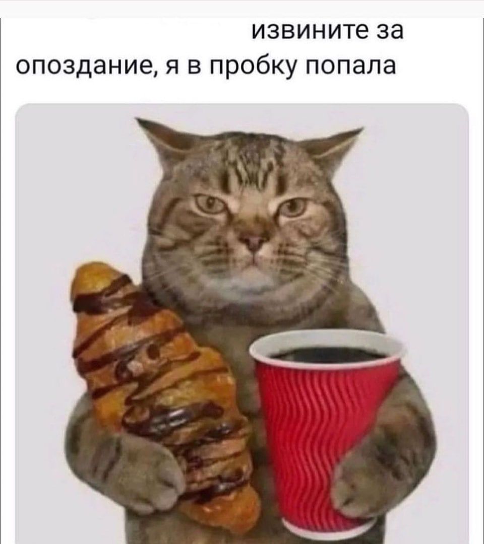 ИЗВИНИТЕ за опоздание Я В пробку Попала