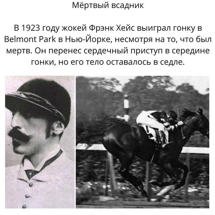 Мертвый всадник в1923 году Жокей Фрэнк Хейс выиграл гонку в Веттот РагК в НьюЙорке несмотря на то что был мертв Он перенес сердечный приступ в середине гонки но его тело оставалось в седле
