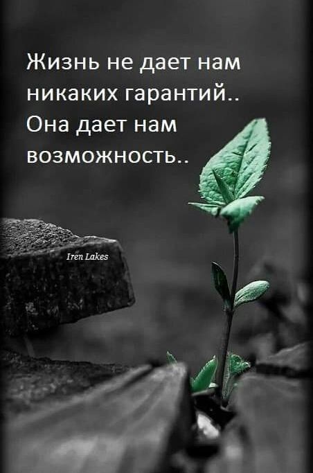 ЖИЗНЬ не дЭЕТ НЗМ никаких гарантий Она дает нам возможность