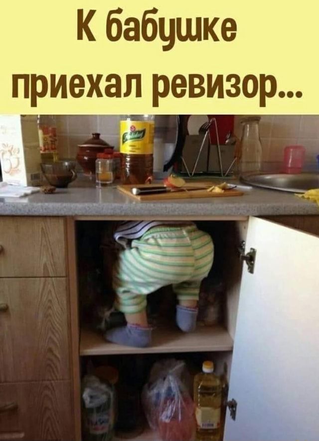 К бабушке приехал ревизор