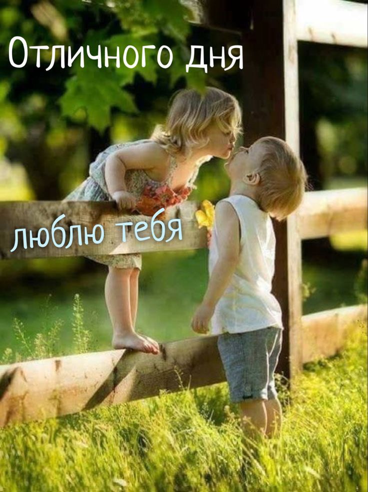 Отличного дня