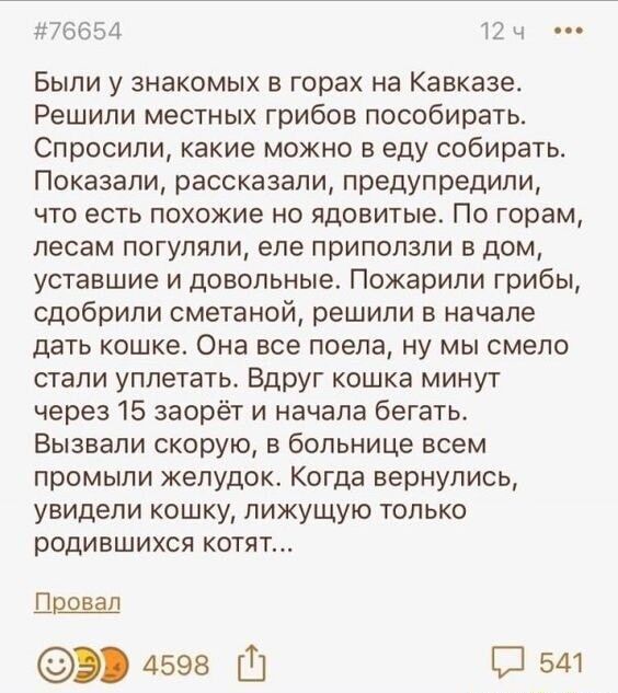76654 12 ч Были у знакомых в горах на Кавказе Решили местных грибов пособирать Спросили какие можно в еду собирать Показали рассказали предупредили что есть похожие но ядовитые По горам лесам погуляли еле приползли в дом уставшие и довольные Пожарипи грибы сдобрипи сметаной решили в начале дать кошке Она все поела ну мы смело стали уппетать Вдруг кошка минут через 15 заорёт и начала бегать Вызвали