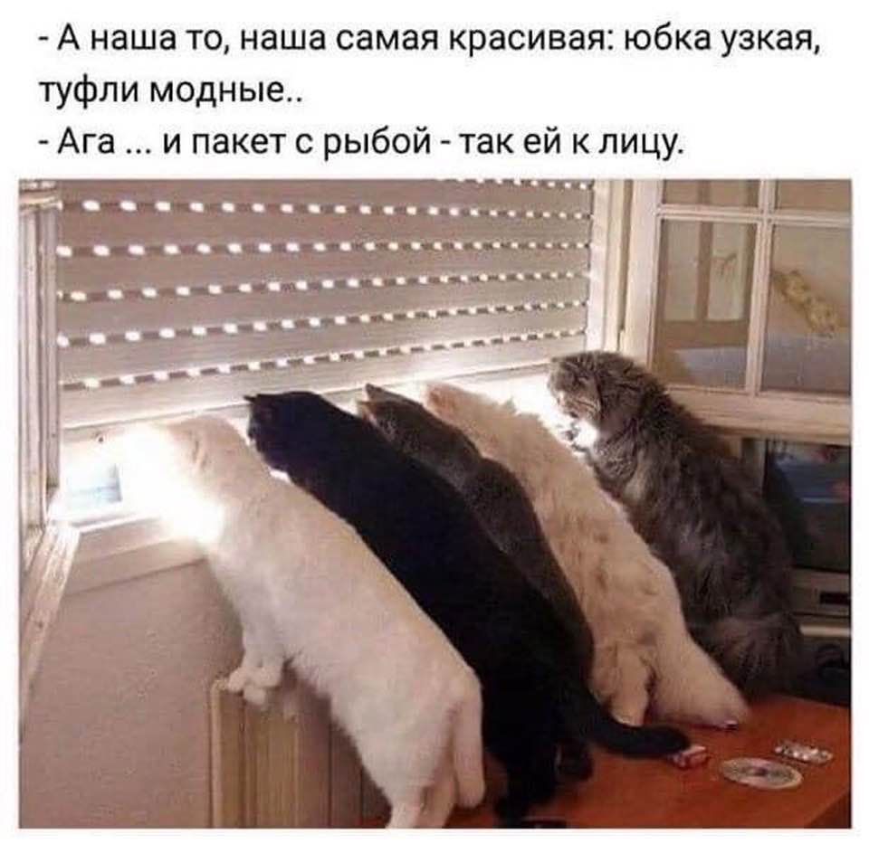 А наша то наша самая красивая юбка узкая туфли модные _ Ага и пакет с рыбой _ так ей лицу __ _ іі