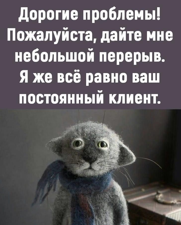 дорогие проблемы Пожалуйста дайте мне небольшой перерыв Я же всё равно ваш постоянный клиент