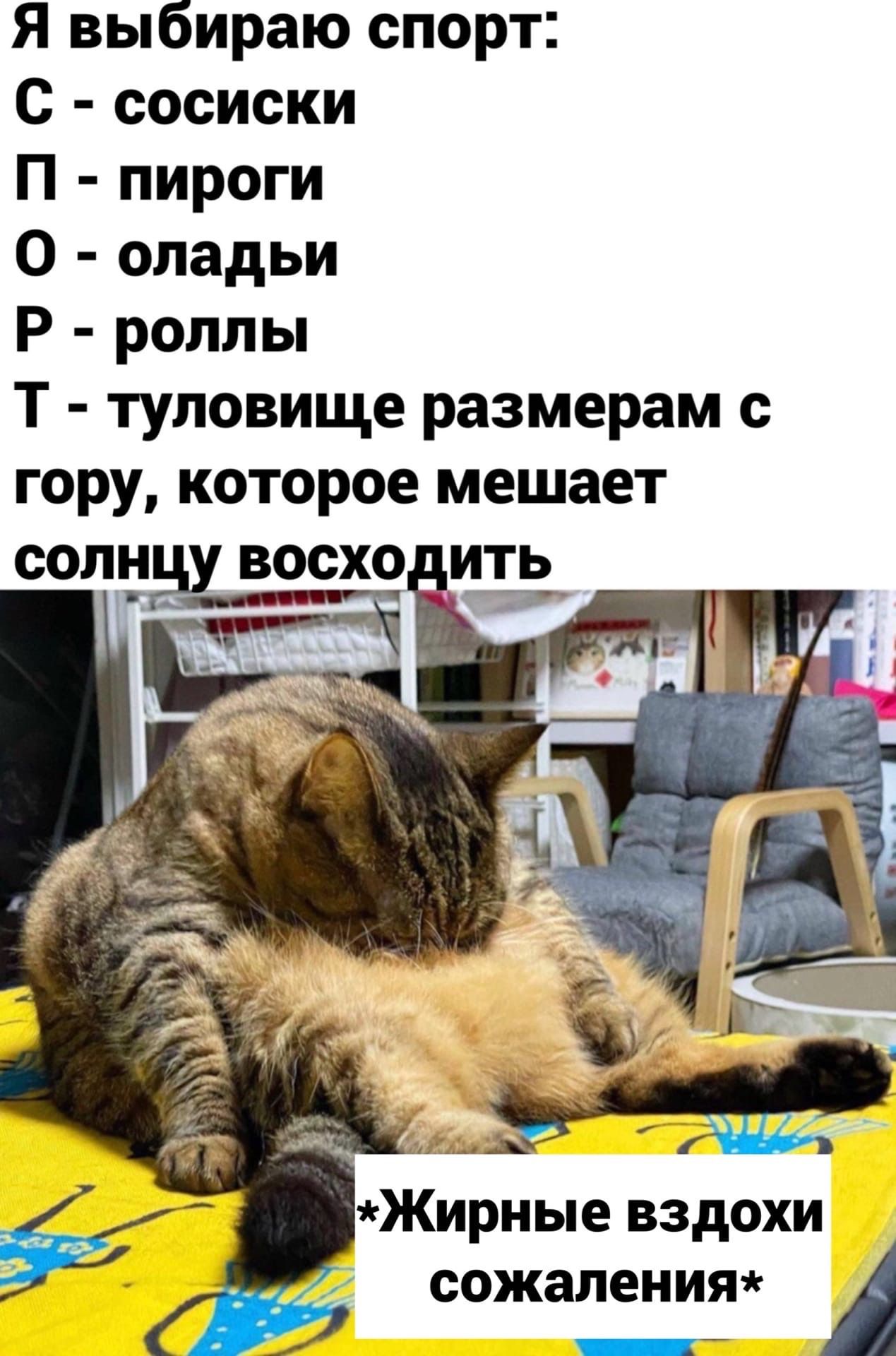Я выбираю спорт с сосиски П пироги 0 оладьи Р роллы Т туловище размерам с гору которое мешает СОПЕЁЁ ВОСХО Жирные вздохи сожаленит