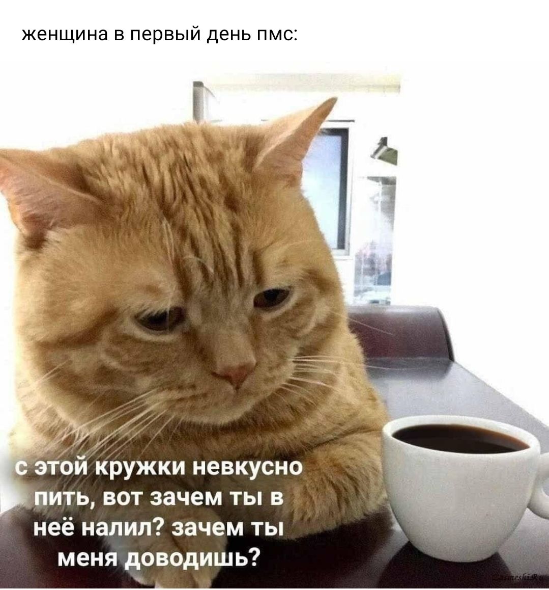 женщина в первый день пмс зтЬй кружки невкусно пить вот зачем ты в неё налил зачем ты меня доводишь