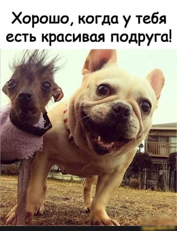 Хорошо когда у тебя есть красивая подруга у