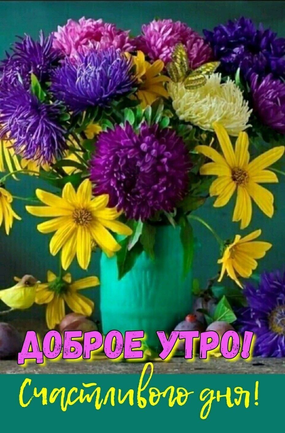 учат ЛИ Сч