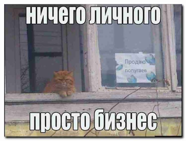 н дцп П пц__ тЪбизне_