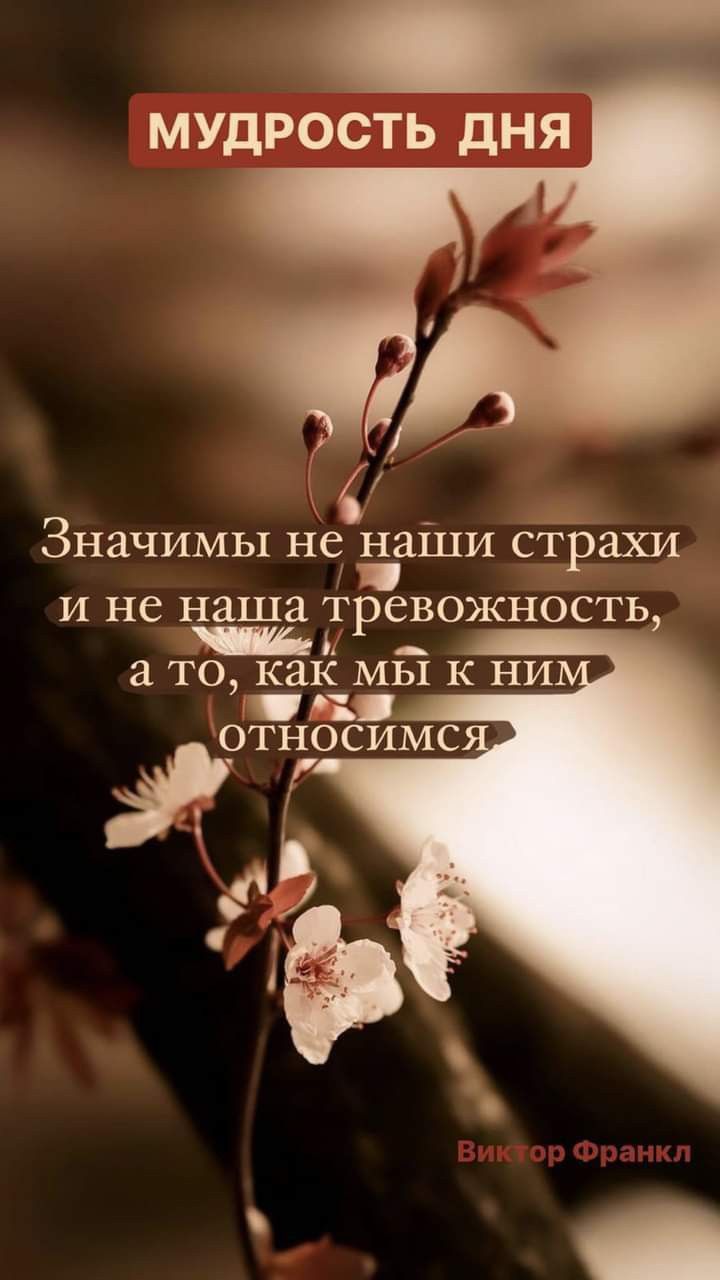 МУДРОСТЬ дНЯ _ Значимы не аши страхи и не наша тревожность в 3 ТО как_ МЫ К НИ