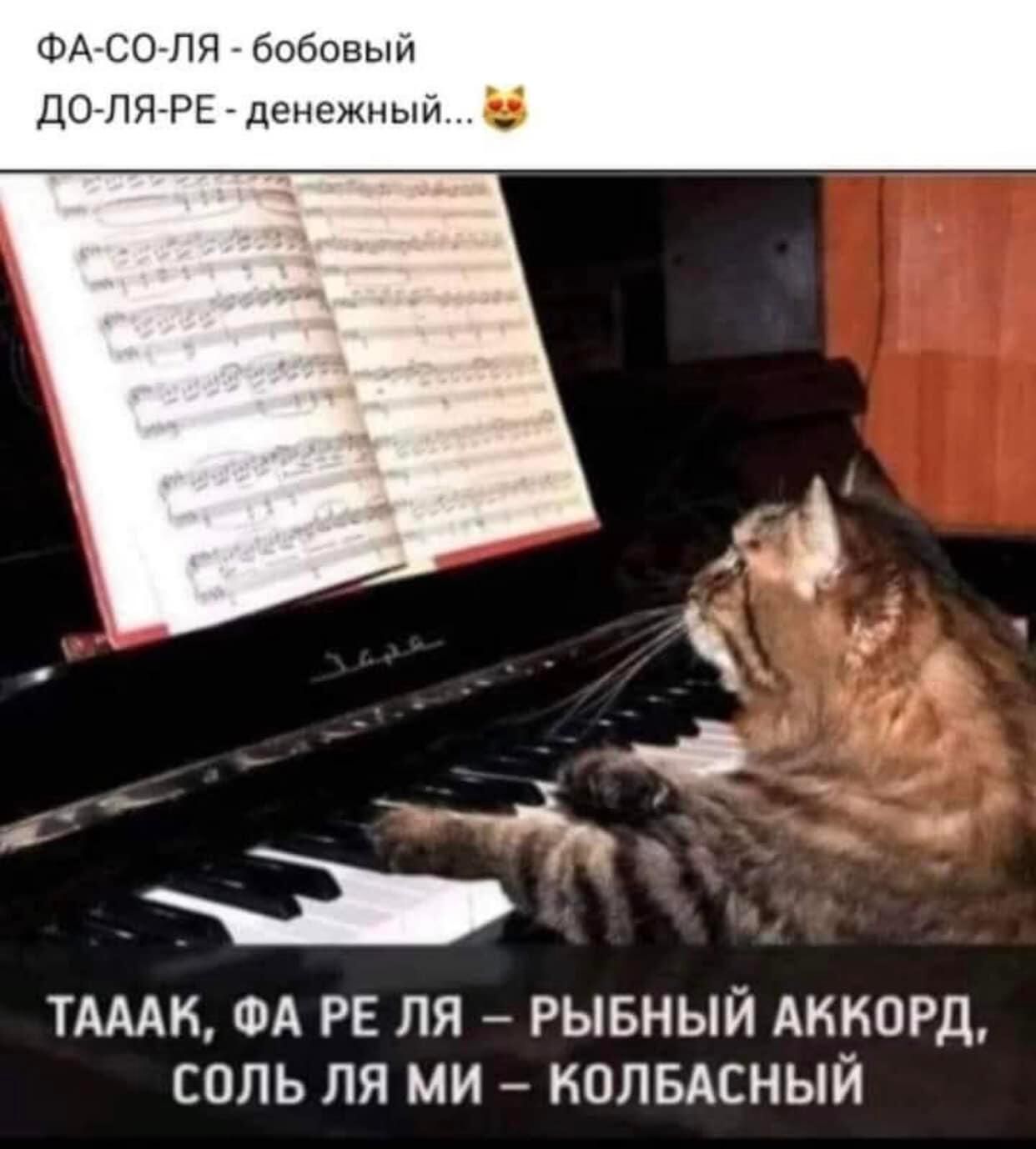 ФА СО ПП ТАМ ФА РЕ ЛЯ _ РЫБНЫЙ АККОРД СОЛЬ ПЯ МИ КОЛБАСНЫЙ