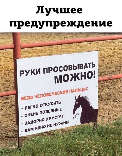 Лучшее предупреждение