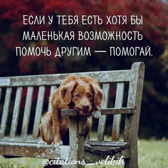 ЕСАИ У ТЕБЯ ЕСТЬ ХОТЯ БЫ МААЕНЬКАЯ ВОЗМОЖНОСТЬ ПОМОЧЬ ДРУГИМ ПОМОГАЙ