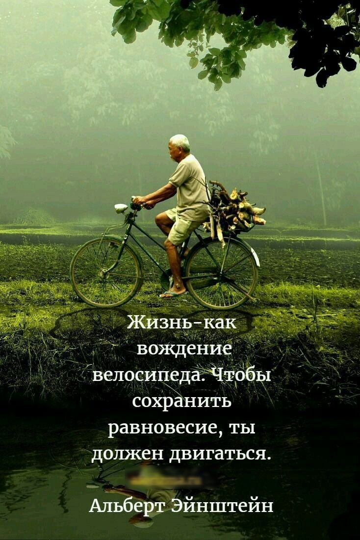 Жизнркдк вещейхе ЪелосигЁдЁЧЖББы сохранить равновесие ты должен двигаться йодгпа Альберт Эйнштейн