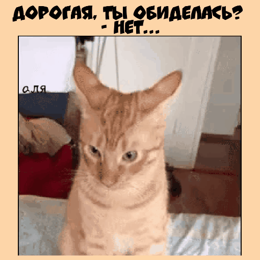 орт пя П ОБИ ЕМ А 61 А