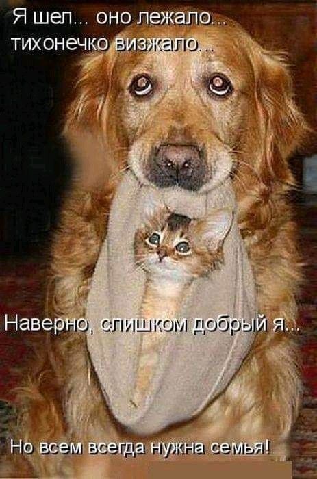Я шел оно лежало