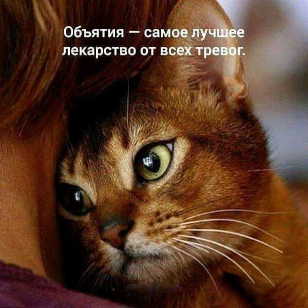 лекарство от вс Уа 4