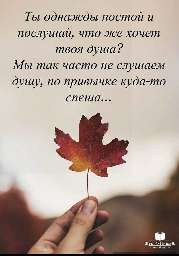 Т ы однажды постой и послушай что же хочет твоя душа Мы так часто не слушаем душу по привычке куда то спеша