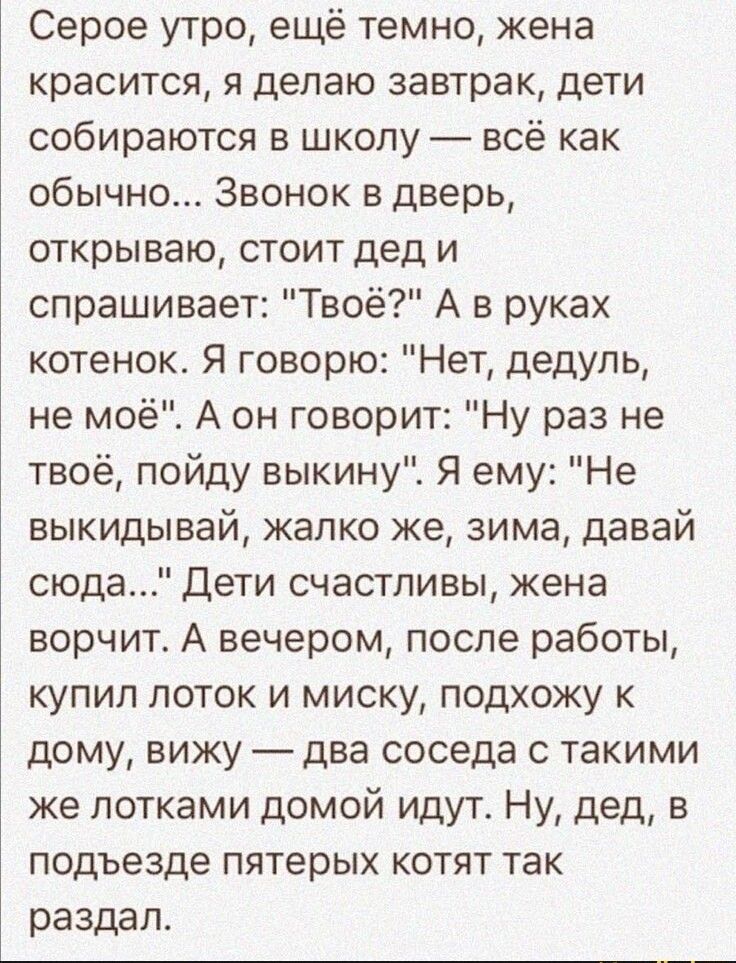 Серое утро ещё темно жена красится я делаю завтрак дети собираются в школу всё как обычно Звонок в дверь открываю стоит дед и спрашивает Твоё А в руках котенок Я говорю Нет дедупь не моё А он говорит Ну раз не твоё пойду выкину Я ему Не выкидывай жалко же зима давай сюда Дети счастливы жена ворчит А вечером после работы купил поток и миску подхожу к дому вижу два соседа с такими же лотками домой и