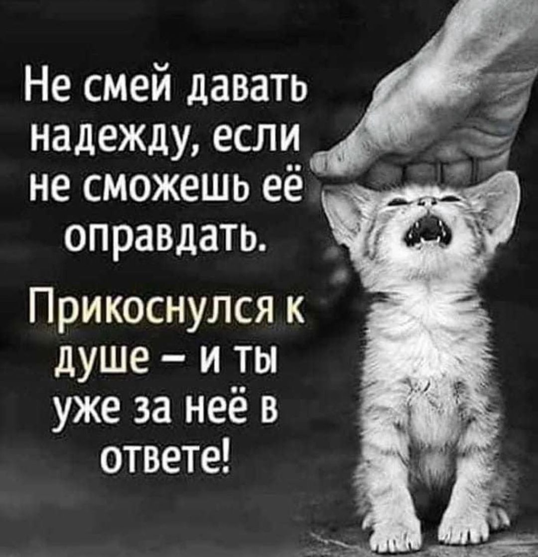 Не смей давать надежду если не сможешь её оправдать Прикоснулся к душе и ты уже за неё в ответе