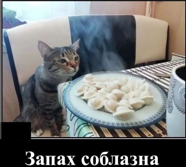 Запах соблазна