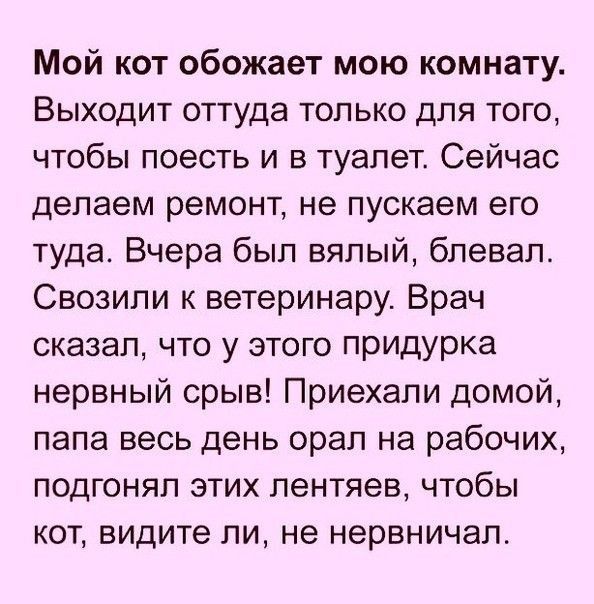 Мой кот обожает мою комнату Выходит оттуда только для того чтобы поесть и в туалет Сейчас делаем ремонт не пускаем его туда Вчера был вялый блевал Свозипи к ветеринару Врач сказал что у этого придурка нервный срыв Приехали домой папа весь день орал на рабочих подгонял этих лентяев чтобы кот видите ли не нервничал