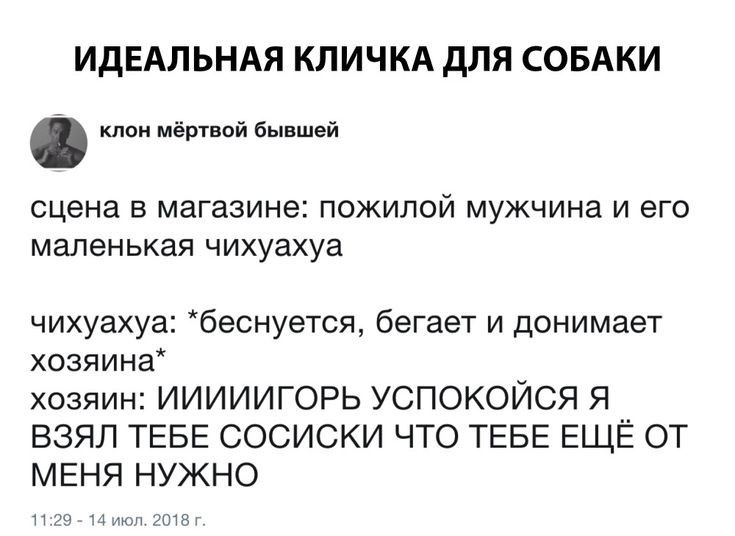 ИДЕАЛЬНАЯ КЛИЧКА дЛЯ СОБАКИ мёртвой Бывшей сцена в магазине пожилой мужчина и его маленькая чихуахуа чихуахуа беснуется бегает и донимает хозяина хозяин ИИИИИГОРЬ УСПОКОЙСЯ Я ВЗЯЛ ТЕБЕ СОСИСКИ ЧТО ТЕБЕ ЕЩЁ ОТ МЕНЯ НУЖНО