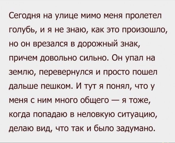 Сегодня на улице мимо меня пролетел голубь и я не знаю как это произошло но он врезался в дорожный знак причем довольно сильно Он упал на землю перевернулся и прого пошел дальше пешком И тут я понял что у меня с ним много общего я тоже когда попадаю в неловкую ситуацию делаю вид что так и было задумано