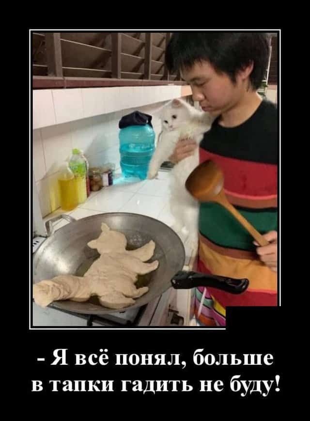 Я всё понял больше в тапки гадить не буду