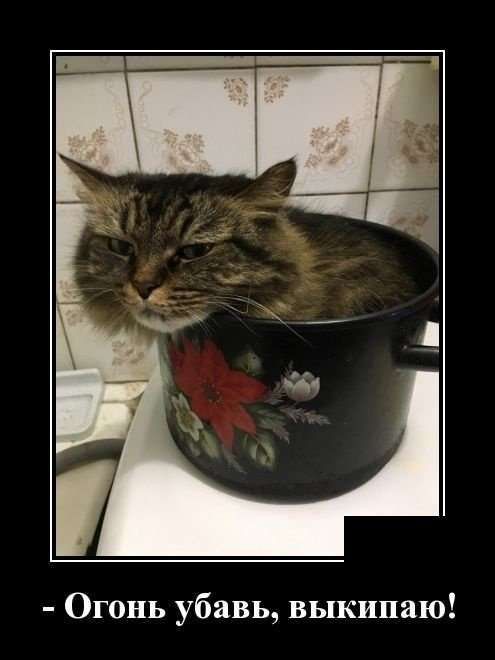 Огонь убавь выкипаю