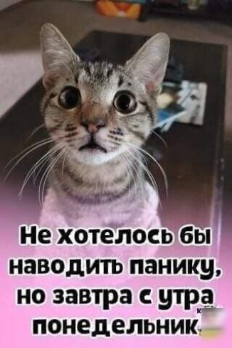 Не хотелосбы наводить панику но завтра утрд понедельник