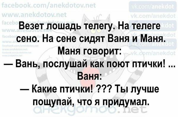 Везет лошадь телегу На телеге сено На сене сидят Баня и Маня Маня говорит Вань послушай как поют птички Ваня Какие птички Ты лучше пощупай что я придумал аиеи пес
