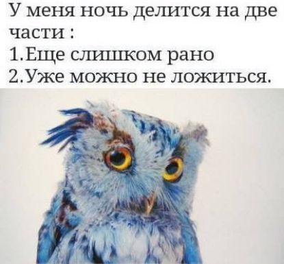 У меня ночь делится на две части 1Еще станком рано 2Уже можно не ложиться