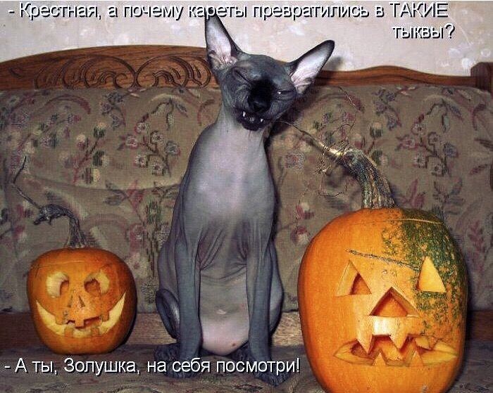 Г гилиъь а ТНпУ А ты Золушка на себя посмотриі