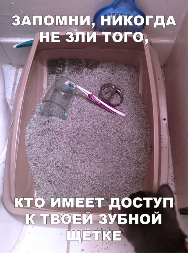 зАпомниникогдА энгіпи то го _ доступ УБНОЙ