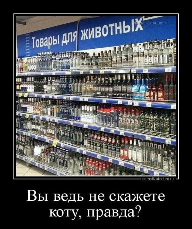 Вы ведь не скажете коту правда