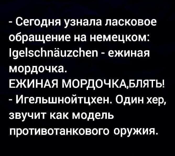 Сегодня узнала ласковое обращение на немецком 9есЬпёи2сЬеп ежиная мордочка ЕЖИНАЯ МОРДОЧКАБЛЯТЬ Игельшнойтцхен Один хер звучит как модель противотанкового оружия