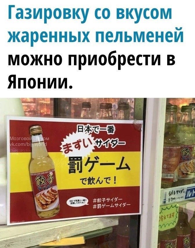 Газировку со вкусом жаренных пельменей можно приобрести в Японии имаг Зриима