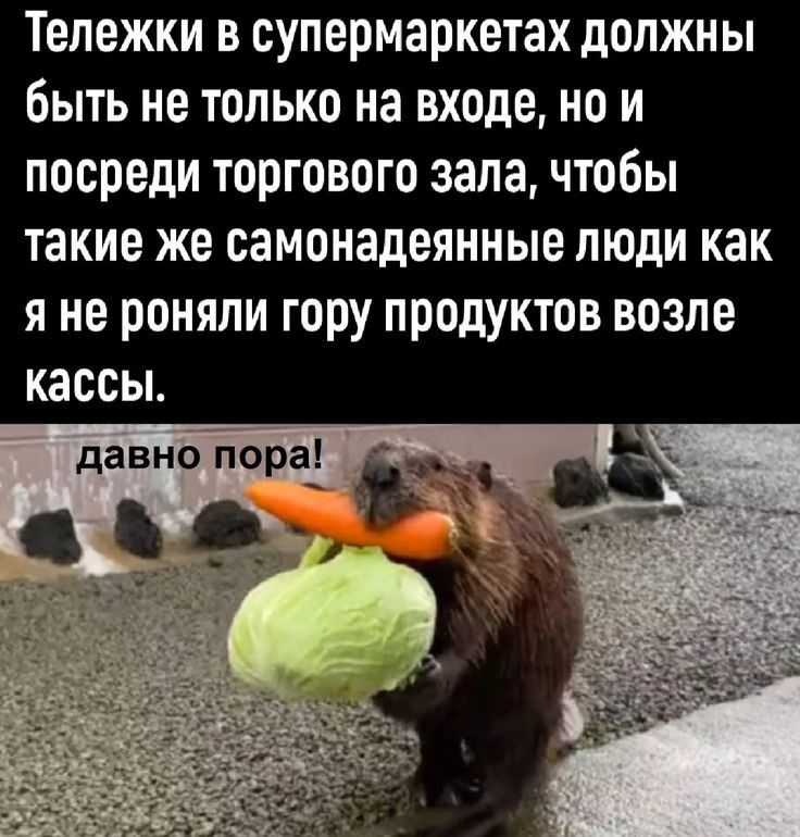 Тележки в супермаркетах должны быть не только на входе но и посреди торгового зала чтобы такие же самонадеяииые люди как я не роняли гору продуктов возле кассы